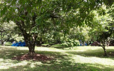 Jour 10 | Bras Canot