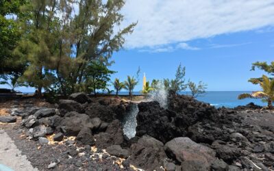 Jour 06 | Langevin et Vincendo