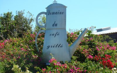 Jour 13 | Le Domaine du Café Grillé