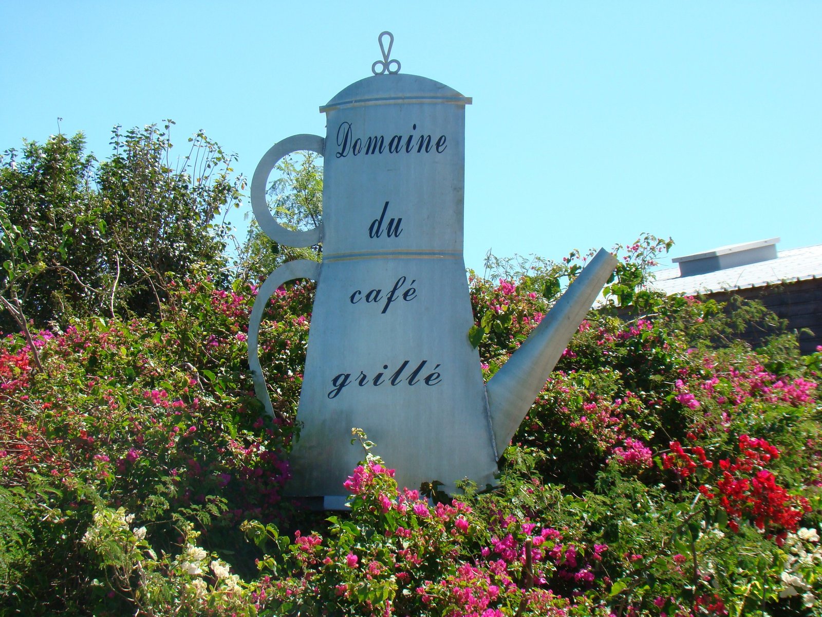 Jour 13 | Le Domaine du Café Grillé