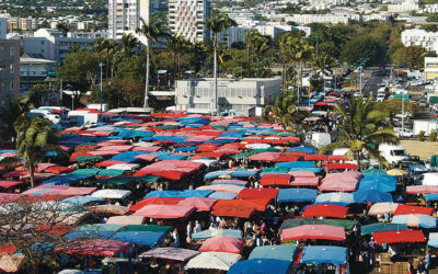 Jour 11 | Marché de St Denis