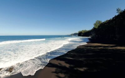 Jour 14 | Les Grègues